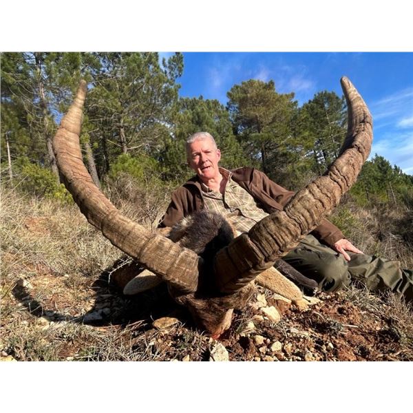 CAZA SOPIE Y SABANA ALBACETE: Madrid, Spain