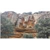 Image 8 : CAZA SOPIE Y SABANA ALBACETE: Madrid, Spain