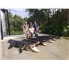 Image 5 : GOD'S COUNTRY OUTFITTERS: San Mateo, Florida