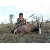 Image 10 : UMDENDE HUNTING SAFARIS: Zululand, South Africa