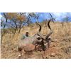Image 11 : UMDENDE HUNTING SAFARIS: Zululand, South Africa