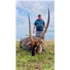 Image 9 : UMDENDE HUNTING SAFARIS: Zululand, South Africa