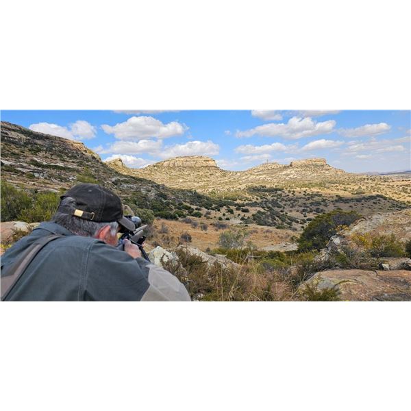 Premium South African Plains Game Safari for Two