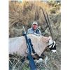 Image 4 : Premium South African Plains Game Safari for Two