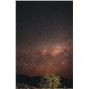 Image 5 : African Night Hunt