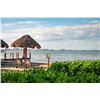 Image 9 : Six Days in Paradise!