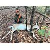 Image 1 : Youth Doe Hunt