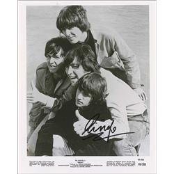 Beatles: Ringo Starr