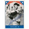 Image 1 : Ted Williams