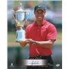 Image 1 : Tiger Woods