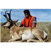 Image 2 : Wyoming Pronghorn Antelope 3 Days, 1 Hunter