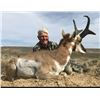 Image 3 : Wyoming Pronghorn Antelope 3 Days, 1 Hunter