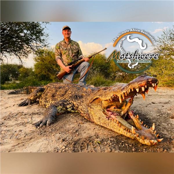 South Africa 10-Trophy Safari, 10 Days, 2 Hunters, 2 Nonhunters