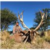 Image 3 : Argentina Safari for Red Stag or Axis Buck, 5 Days, 2 Hunter