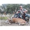 Image 4 : Argentina Safari for Red Stag or Axis Buck, 5 Days, 2 Hunter