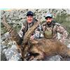 Image 1 : Spain Ibex Hunt and Day of Touring, 3 Days, 1 Hunter, 1 Nonhunter
