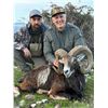 Image 5 : Spain Ibex Hunt and Day of Touring, 3 Days, 1 Hunter, 1 Nonhunter