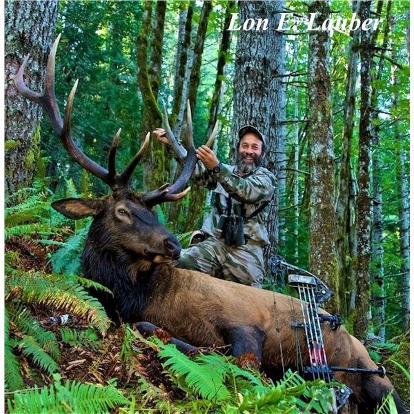 Spoon Creek Outfitters Roosevelt Elk on Oregon’s Pacific Coast