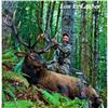 Image 1 : Spoon Creek Outfitters Roosevelt Elk on Oregon’s Pacific Coast