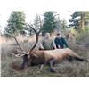 Image 4 : Spoon Creek Outfitters Roosevelt Elk on Oregon’s Pacific Coast