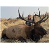 Image 5 : Spoon Creek Outfitters Roosevelt Elk on Oregon’s Pacific Coast