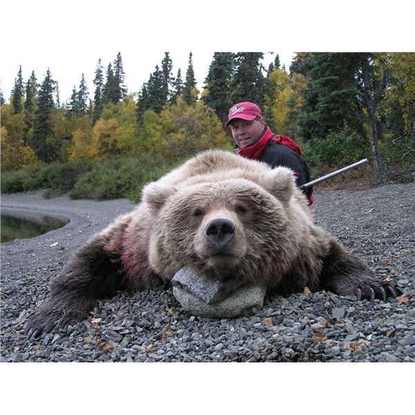 Alaska Peninsula Coastal Brown Bear Hunt, 10 Days, 1 Hunter