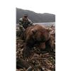 Image 5 : Alaska Peninsula Coastal Brown Bear Hunt, 10 Days, 1 Hunter