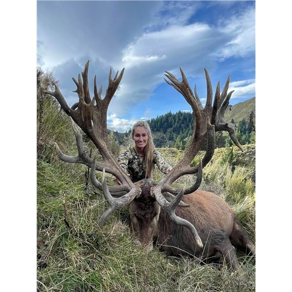 New Zealand Red Stag Hunt 5 Days, 2 Hunters, 2 Nonhunter