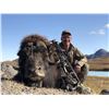 Image 2 : Greenland Muskox and Caribou Combo Hunt, 4 Days, 1 Hunter