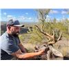 Image 10 : Arizona Mule Deer or Coues Deer 5 Days, 2 Hunter