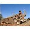 Image 1 : Arizona Mule Deer or Coues Deer 5 Days, 2 Hunter