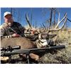 Image 3 : Arizona Mule Deer or Coues Deer 5 Days, 2 Hunter