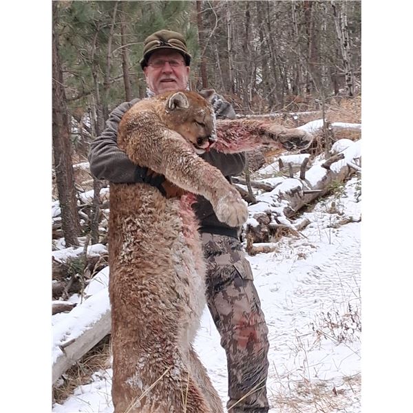 Wyoming Mountain Lion Hunt 5D, 1H, 1NH