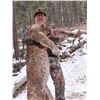 Image 1 : Wyoming Mountain Lion Hunt 5D, 1H, 1NH