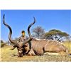 Image 2 : Botswana Safari Including Kudu Trophy Fees, 5 Days, 1 Hunter, 1 Non Hunter