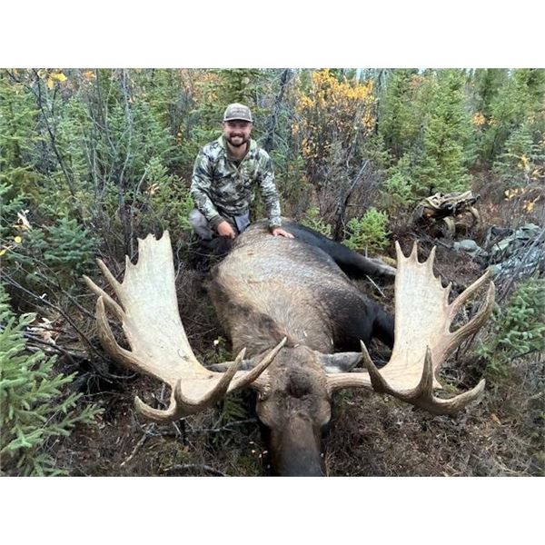 Alaska DIY Yukon Moose or Caribou Hunt, 10-14 Days, 2 Hunters