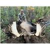 Image 1 : Alaska DIY Yukon Moose or Caribou Hunt, 10-14 Days, 2 Hunters