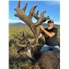 Image 2 : Alaska DIY Yukon Moose or Caribou Hunt, 10-14 Days, 2 Hunters