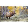 Image 1 : 2026 Utah Late Season Bull Elk Monroe