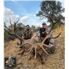 Image 1 : Spain Red Stag, Chamois, or Roe Deer, 4 Days, 2 Hunters, 2 Non Hunters