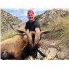 Image 8 : Spain Red Stag, Chamois, or Roe Deer, 4 Days, 2 Hunters, 2 Non Hunters