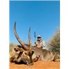 Image 5 : South Africa Safari with $5,000 Trophy Credit, 12 Days, 2 Hunters, 2 Non Hunters