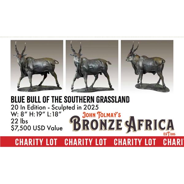 *Charity Lot* Tolmay Eland Bronze & Joshua Creek Ranch Hunt