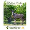 Image 2 : LEGACY LOT: 1.0 Kudu -  61" Double Wide