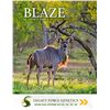 Image 2 : LEGACY LOT: 1.0 Kudu - 56" Blaze