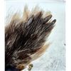 Image 4 : Massive Premium Wolf Pelt