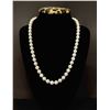 Image 1 : Classic Akoya Pearl Necklace