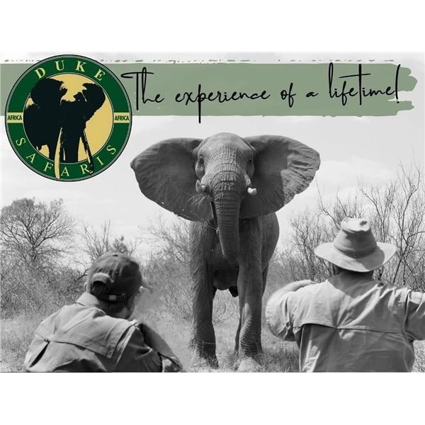 True African Bush Experience by Duke Safaris