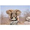 Image 2 : True African Bush Experience by Duke Safaris
