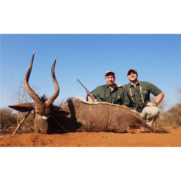 Nyala and Plains Game Hunt in South Africa